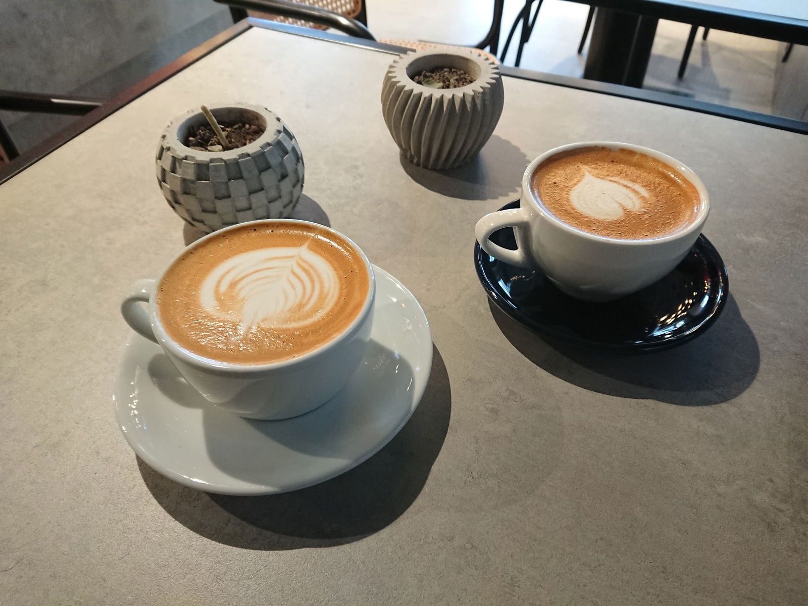 Daily Drip Specialty Coffee