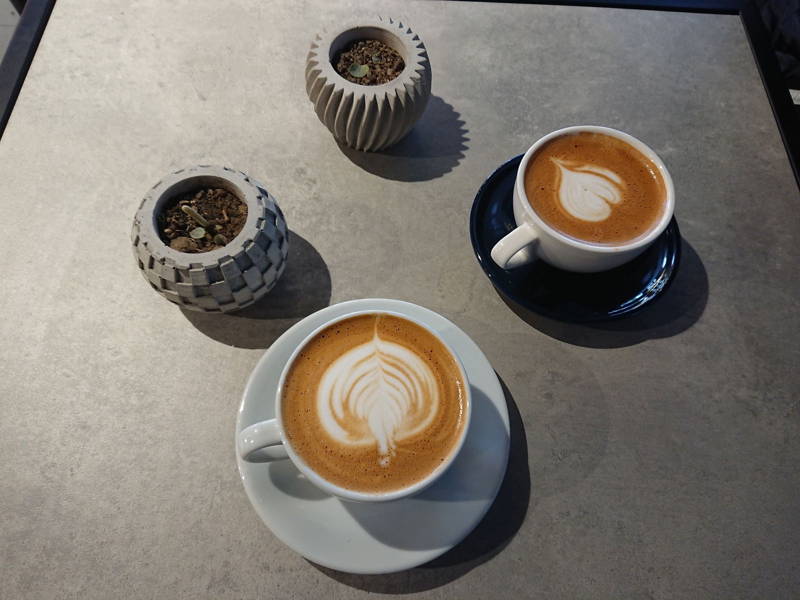 Daily Drip Specialty Coffee