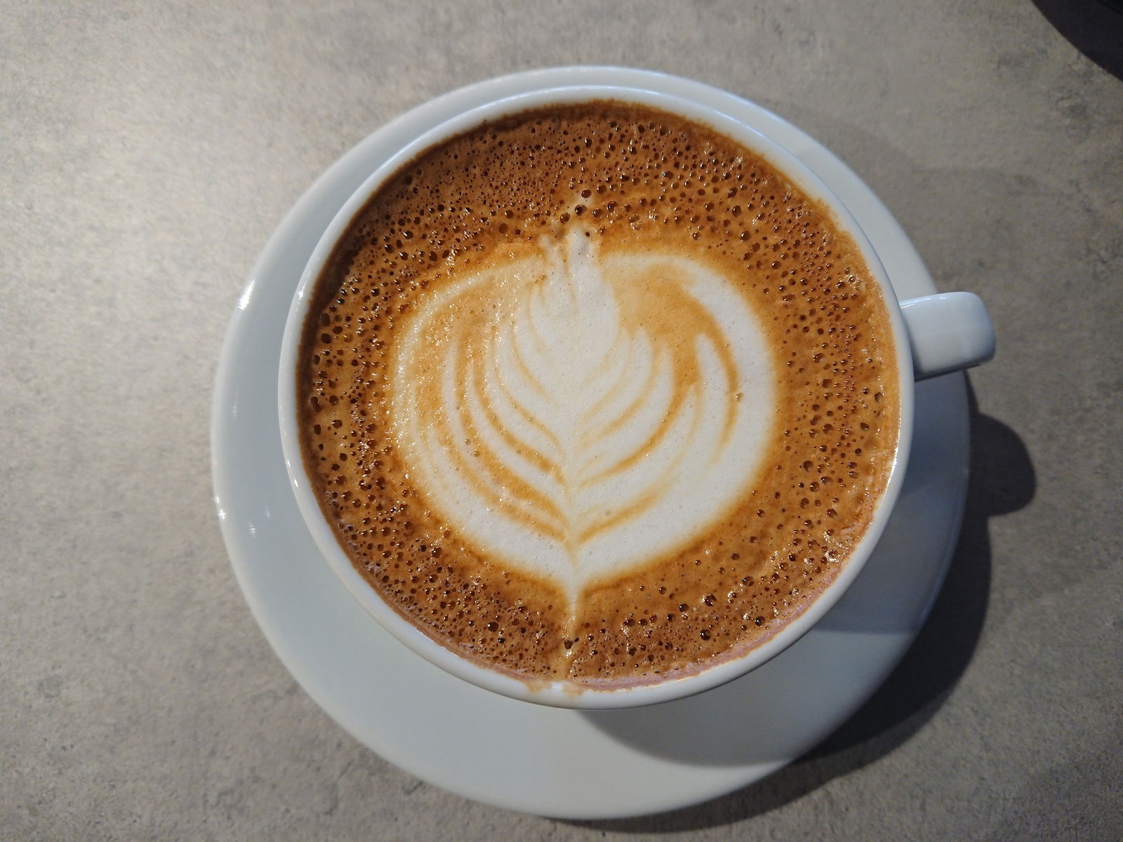 Daily Drip Specialty Coffee