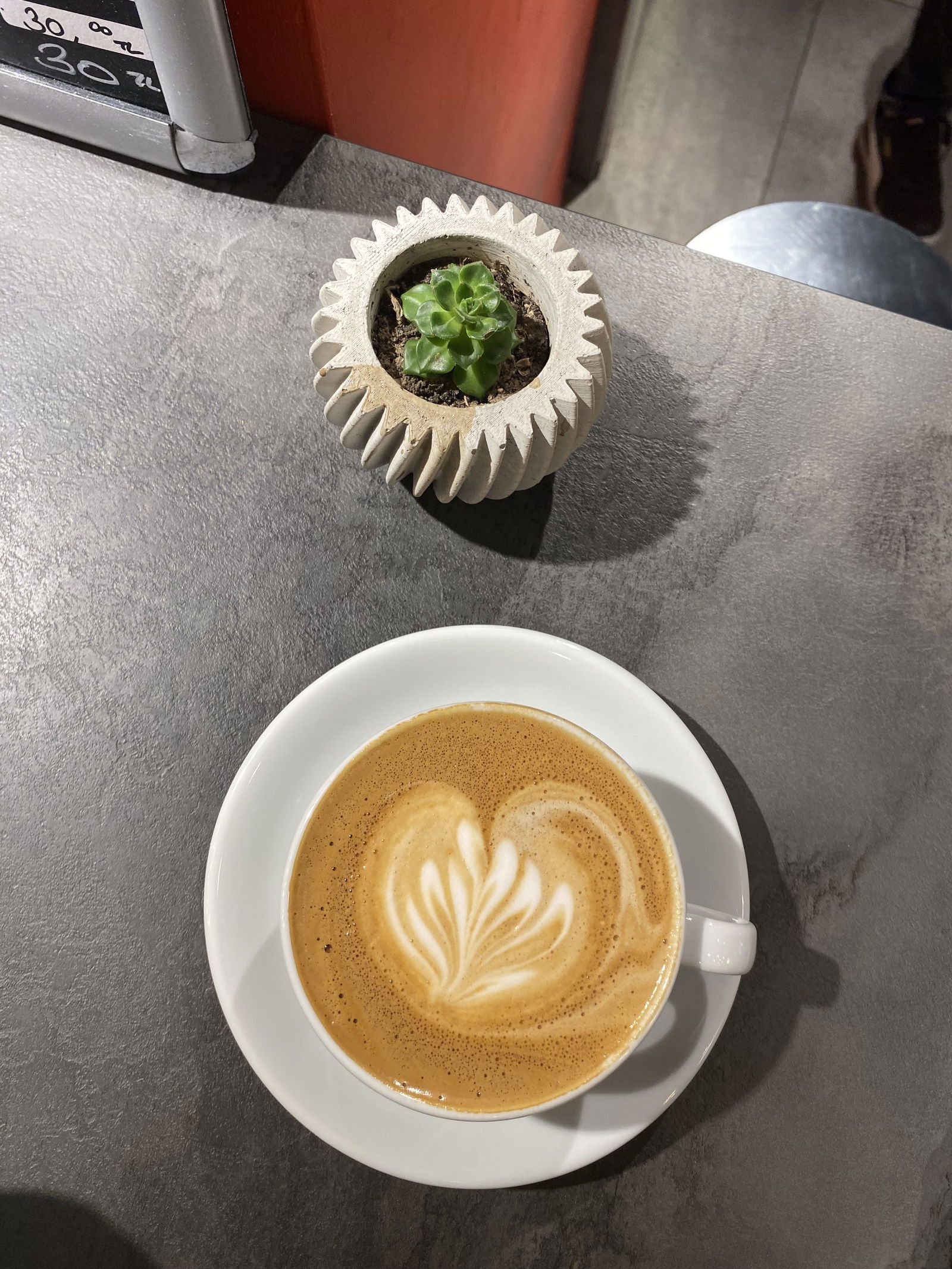 Daily Drip Specialty Coffee