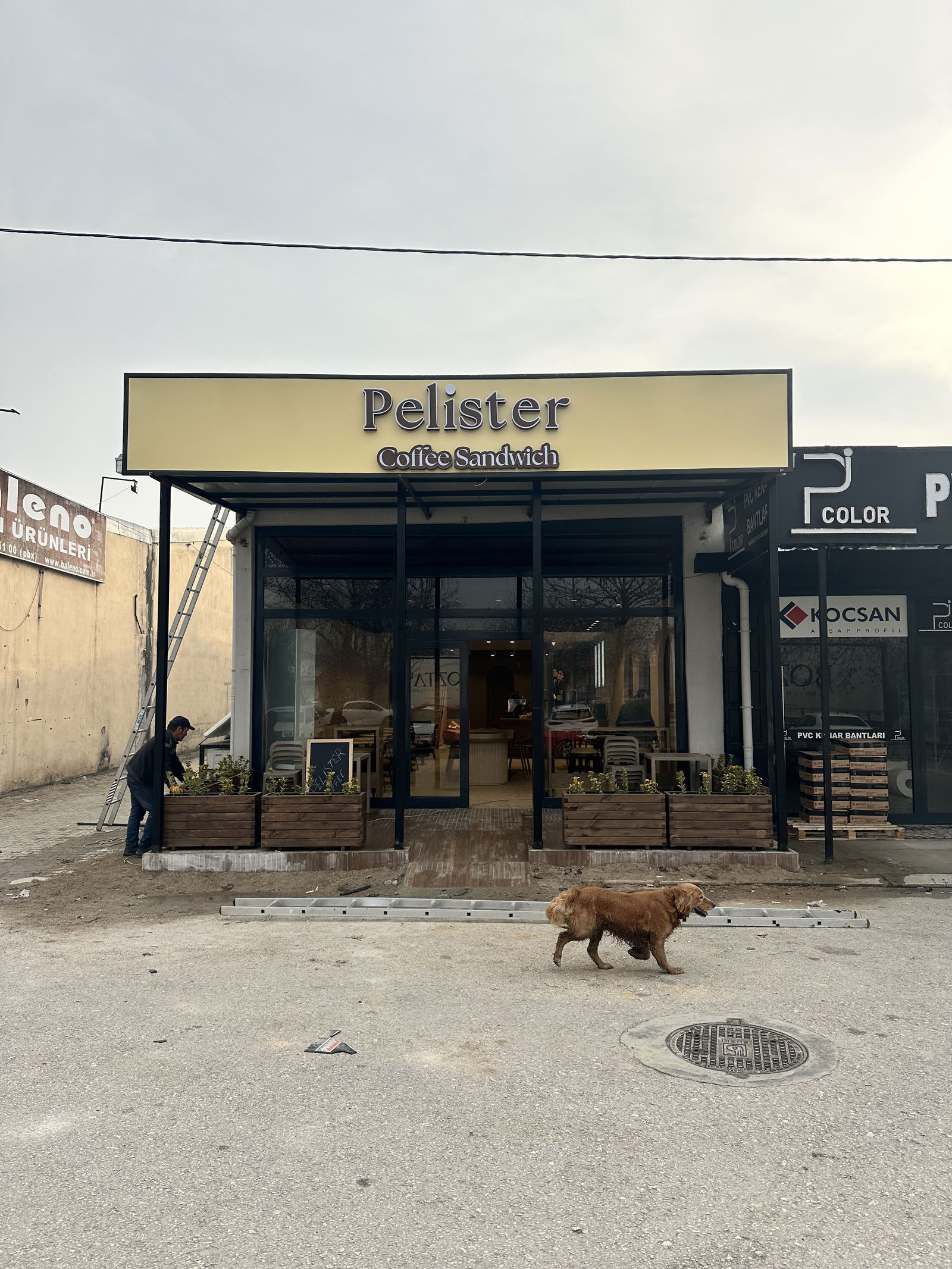 Pelister Coffee Sandwich