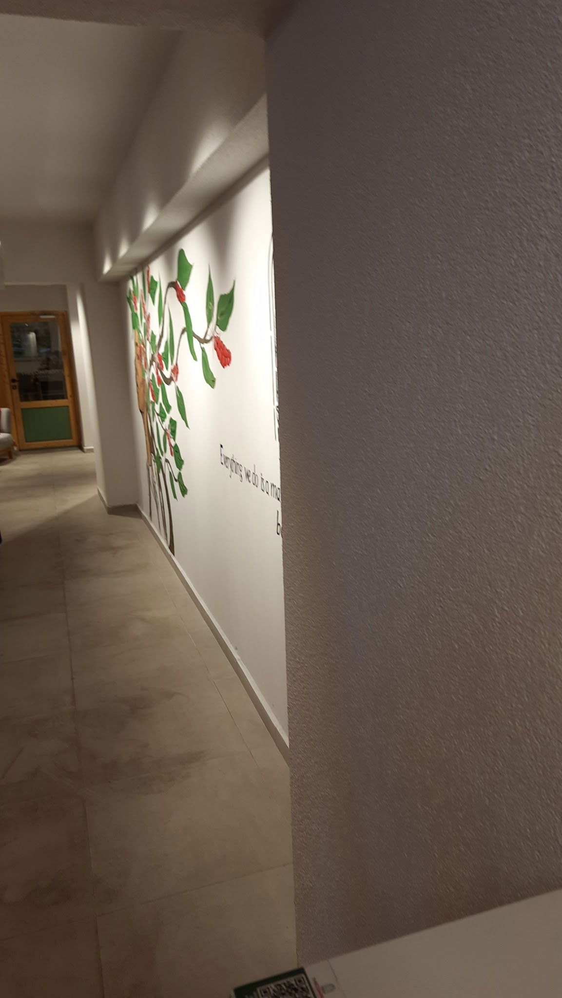 The Company Coffee Adalar