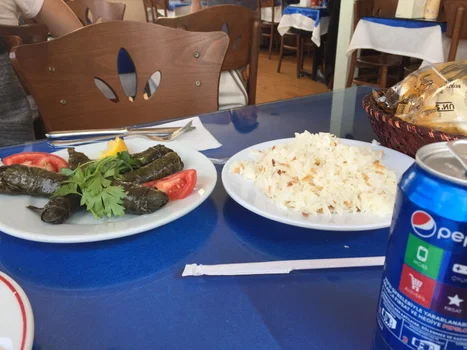Balıkçı Aydın resimleri