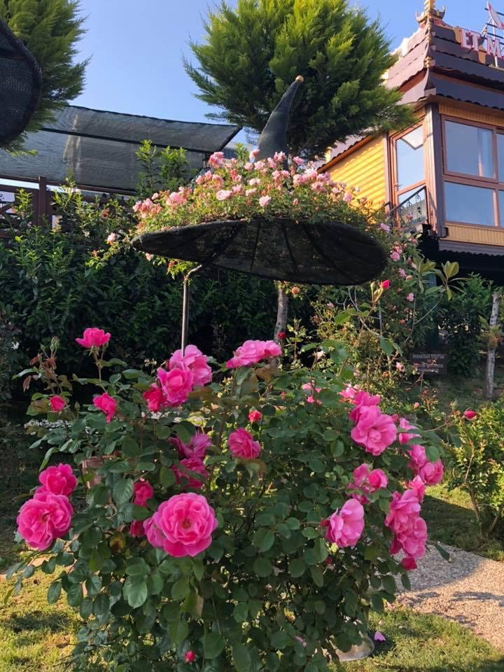Onpet Bahçe Cafe Menemen
