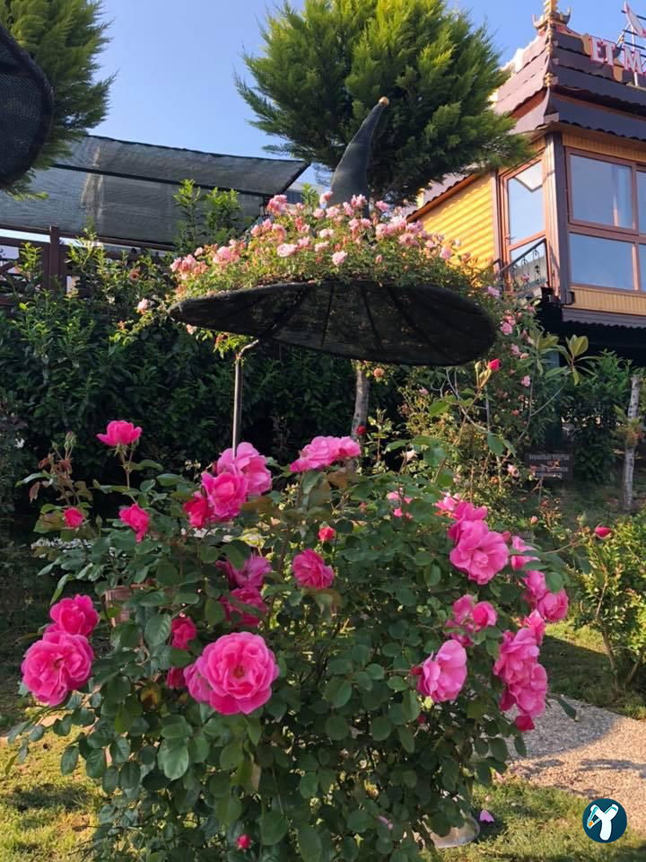 Onpet Bahçe Cafe Menemen