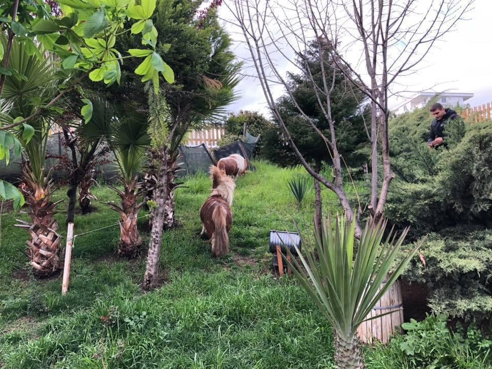 Onpet Bahçe Cafe Menemen