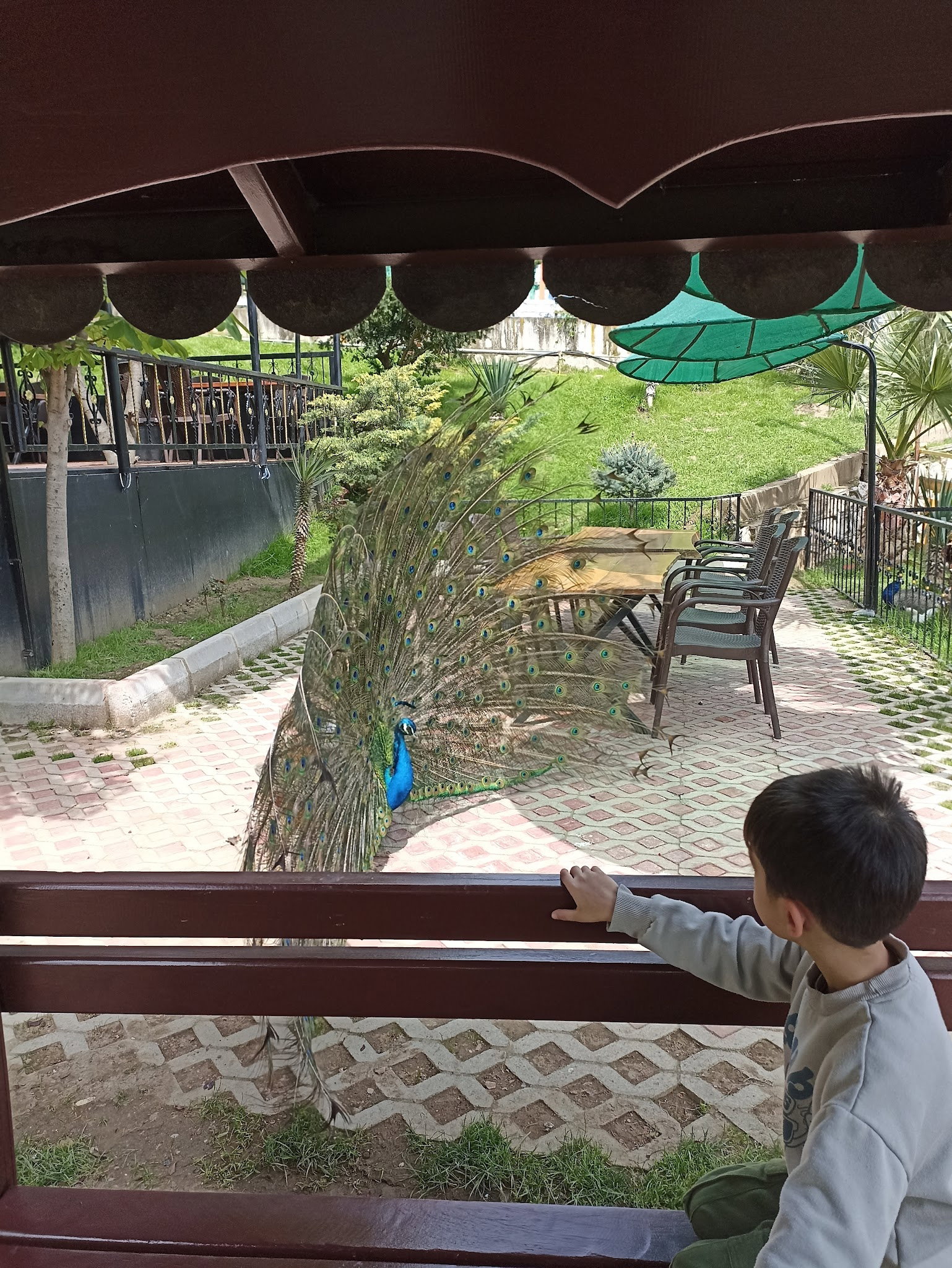 Onpet Bahçe Cafe Menemen