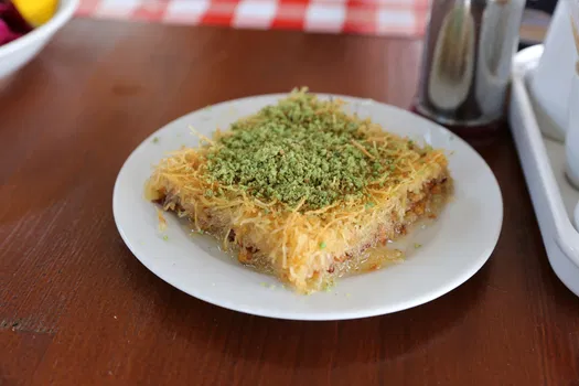 Saray Tandir resimleri