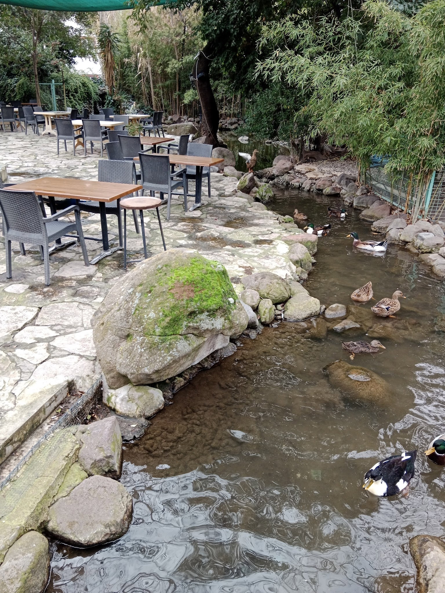 Barış Alanı Cafe Ve Kahvaltı