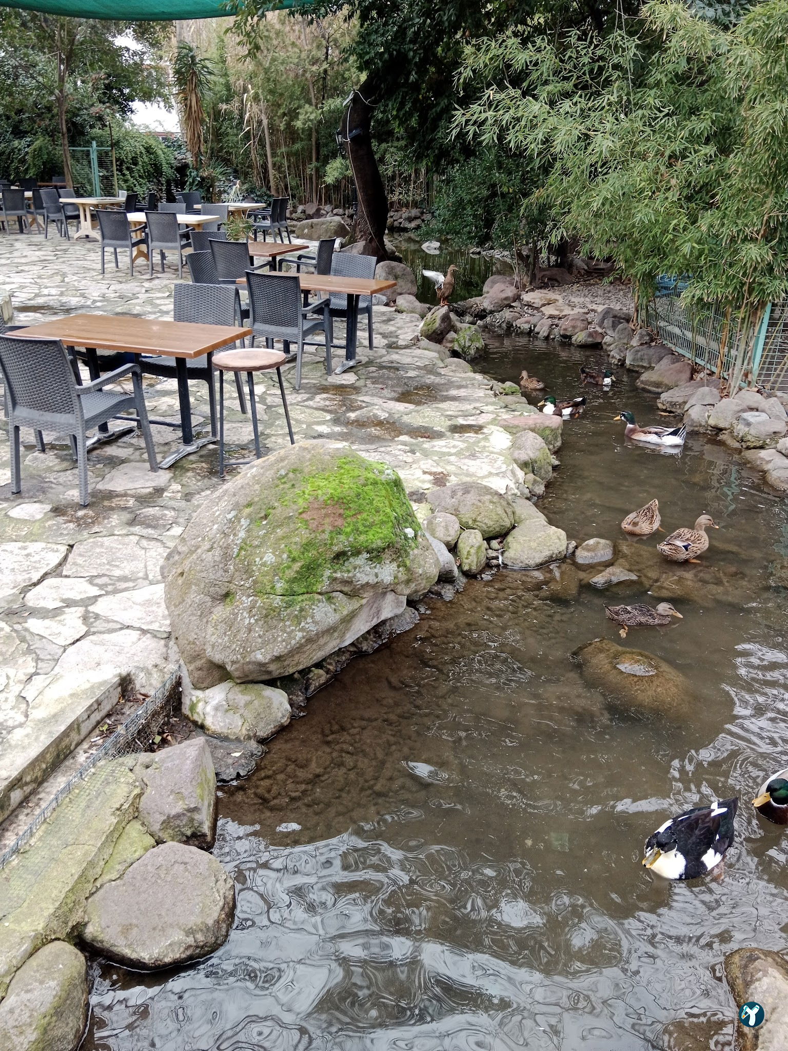 Barış Alanı Cafe Ve Kahvaltı