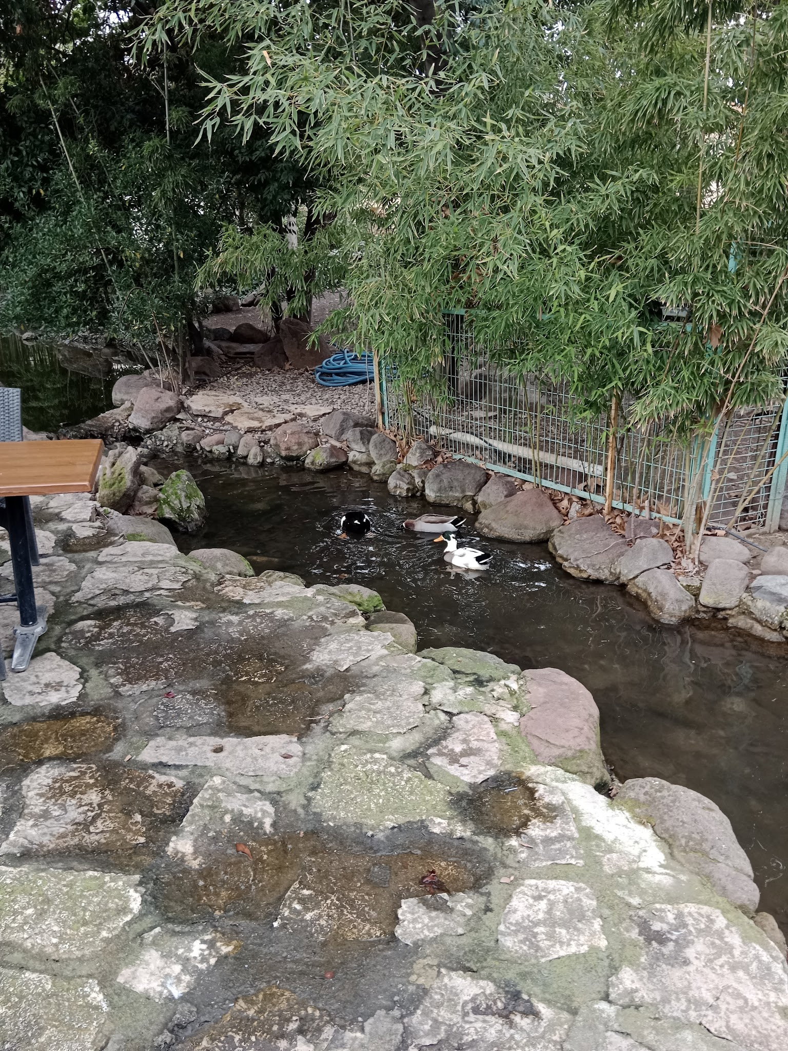 Barış Alanı Cafe Ve Kahvaltı
