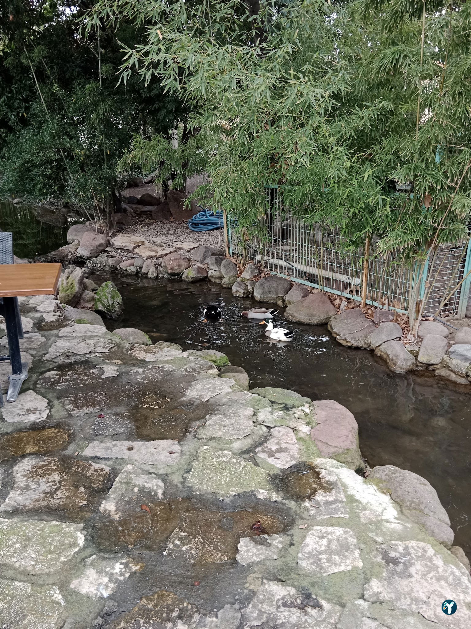 Barış Alanı Cafe Ve Kahvaltı