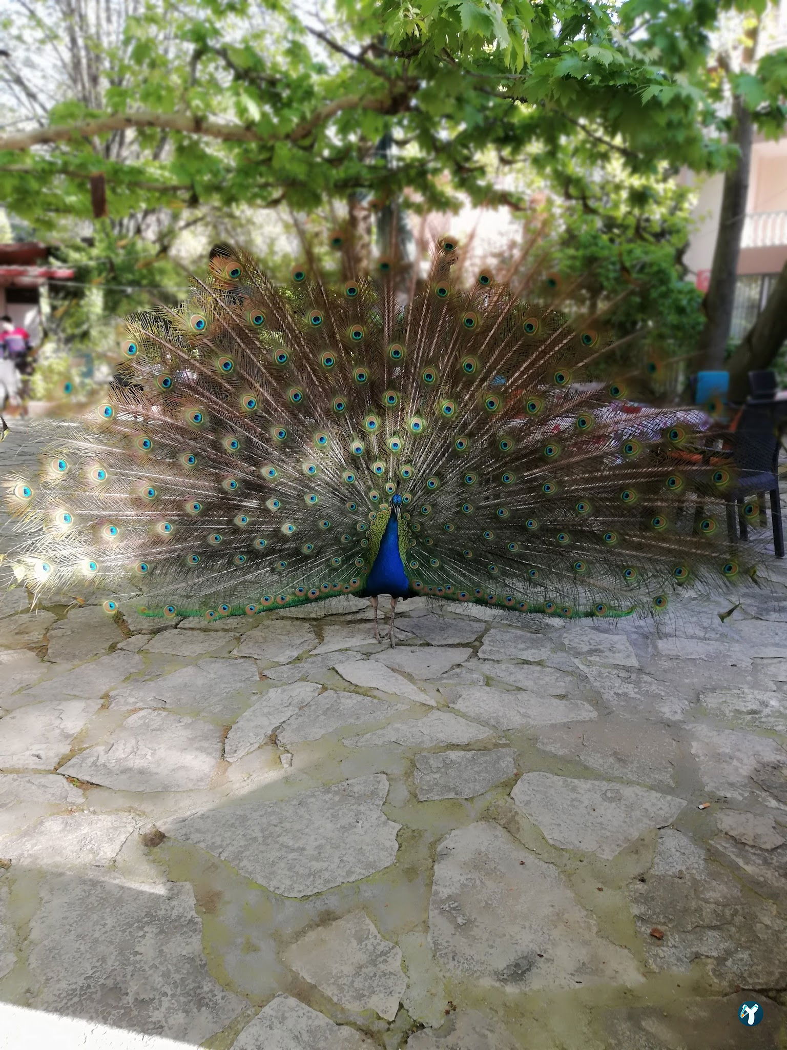 Barış Alanı Cafe Ve Kahvaltı