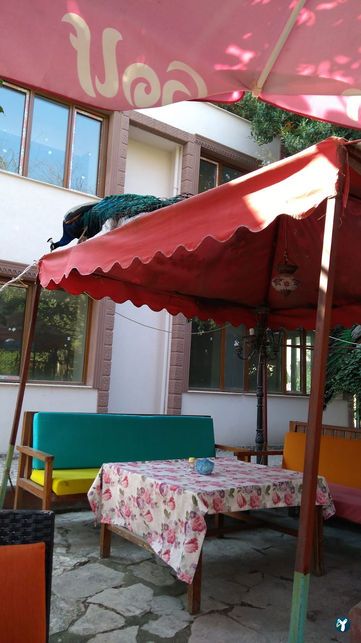 Barış Alanı Cafe Ve Kahvaltı