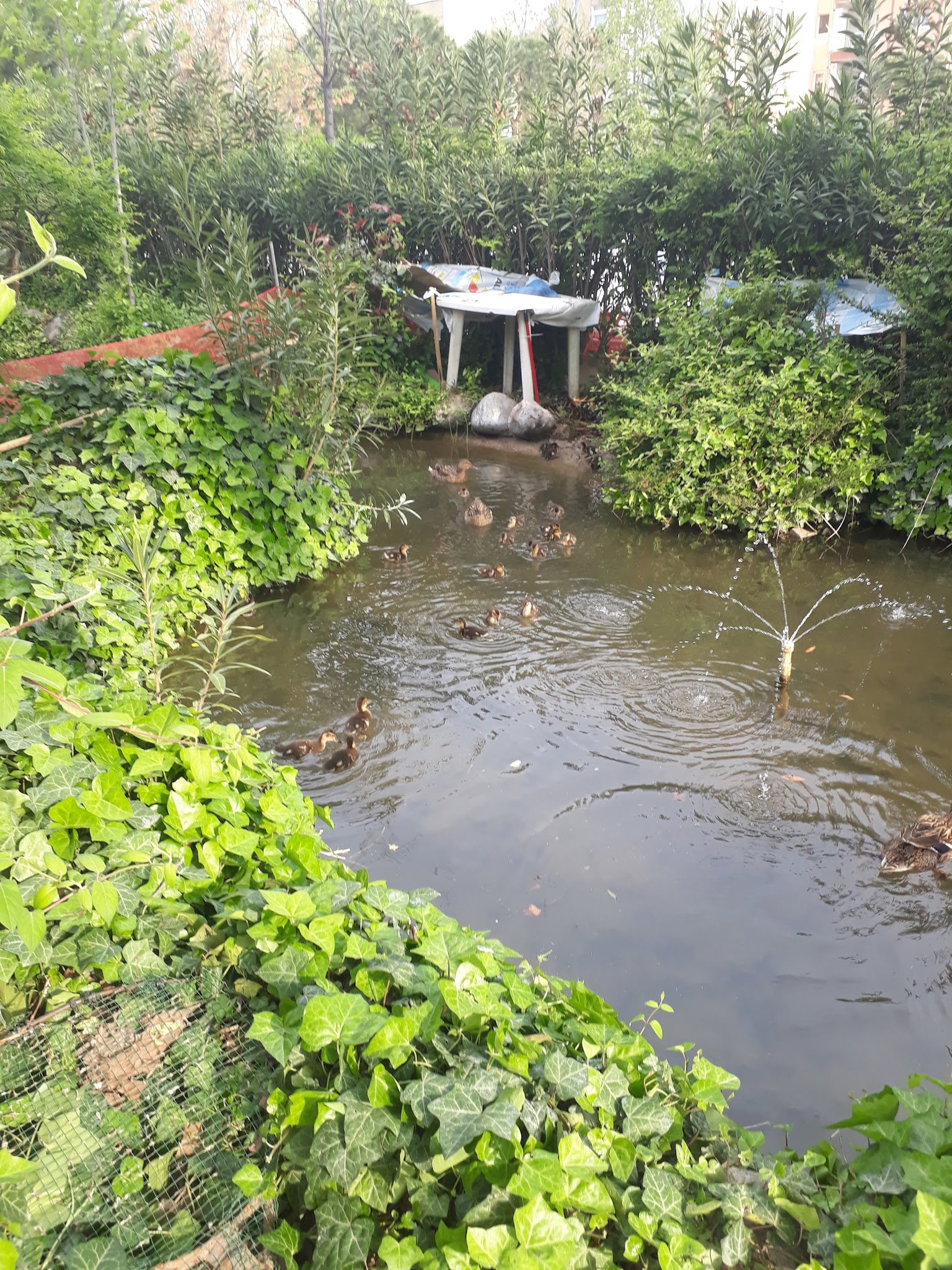 Barış Alanı Cafe Ve Kahvaltı