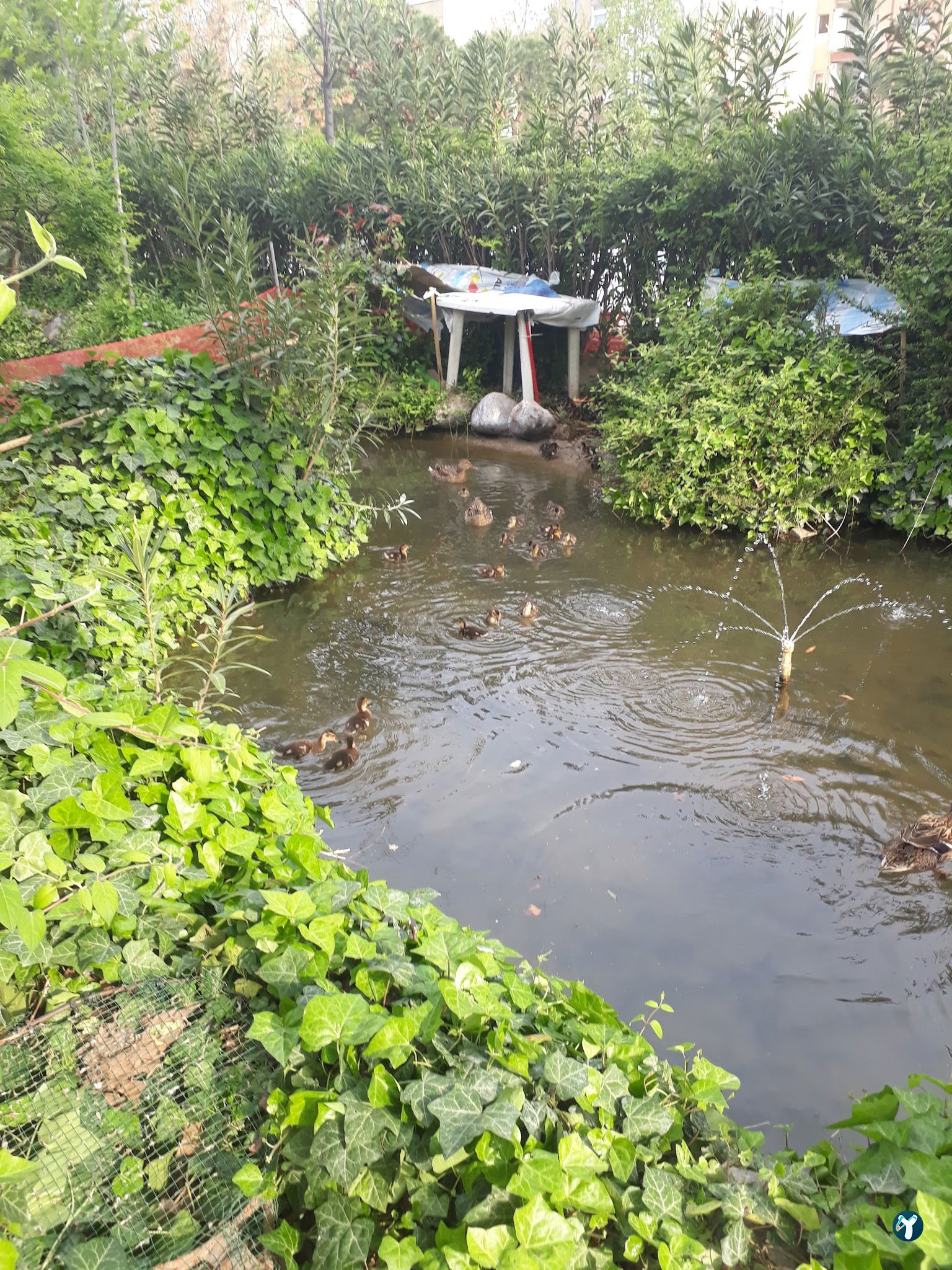 Barış Alanı Cafe Ve Kahvaltı