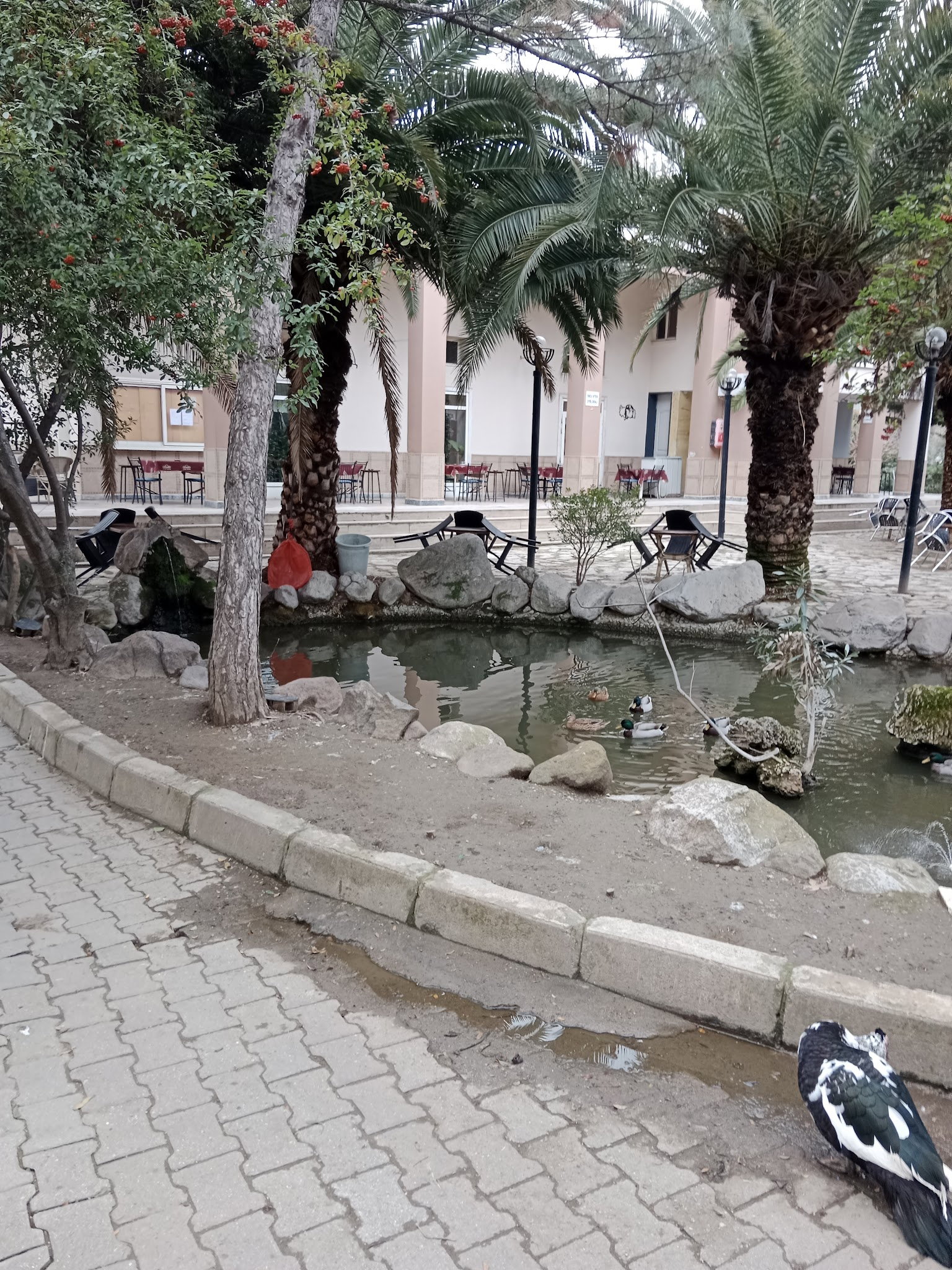 Barış Alanı Cafe Ve Kahvaltı