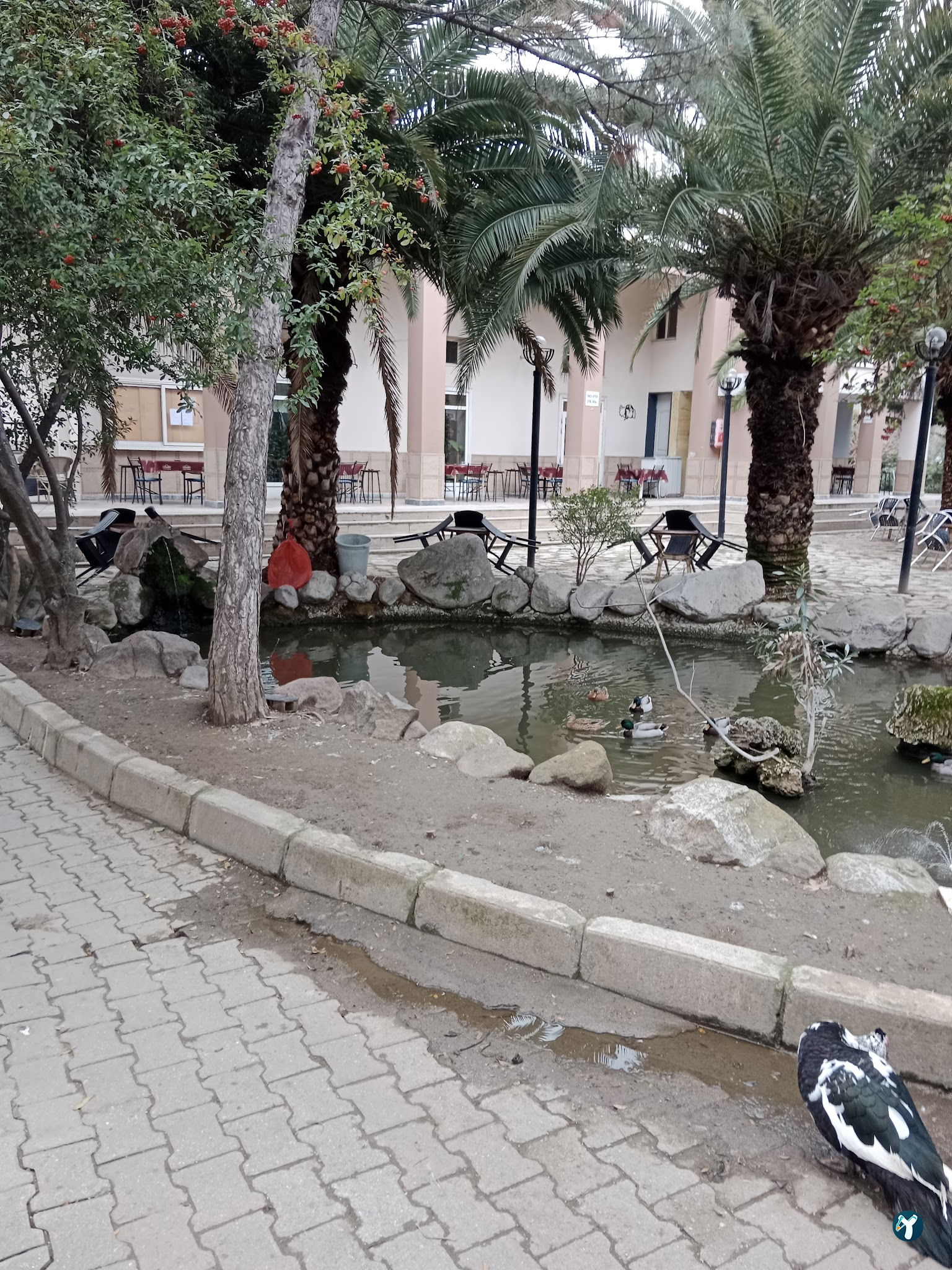 Barış Alanı Cafe Ve Kahvaltı