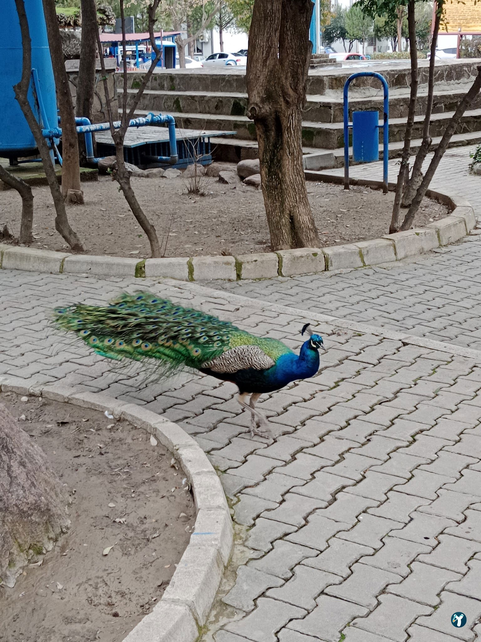 Barış Alanı Cafe Ve Kahvaltı