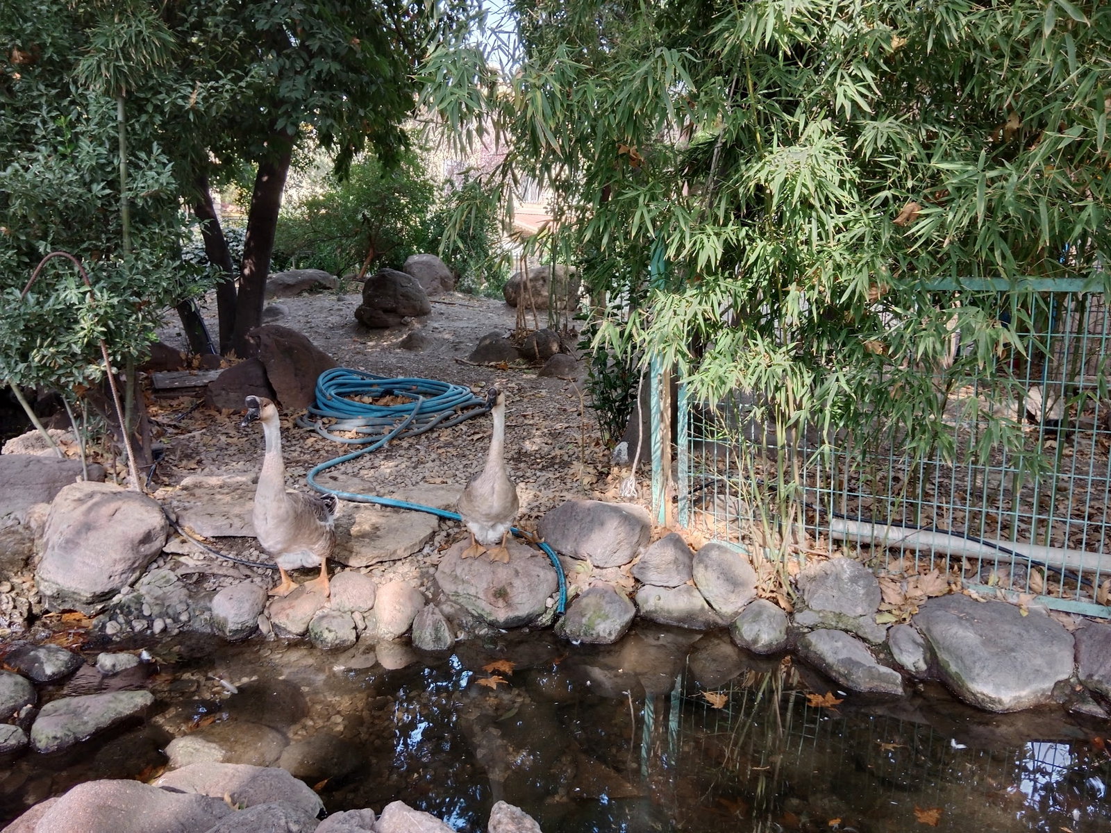Barış Alanı Cafe Ve Kahvaltı