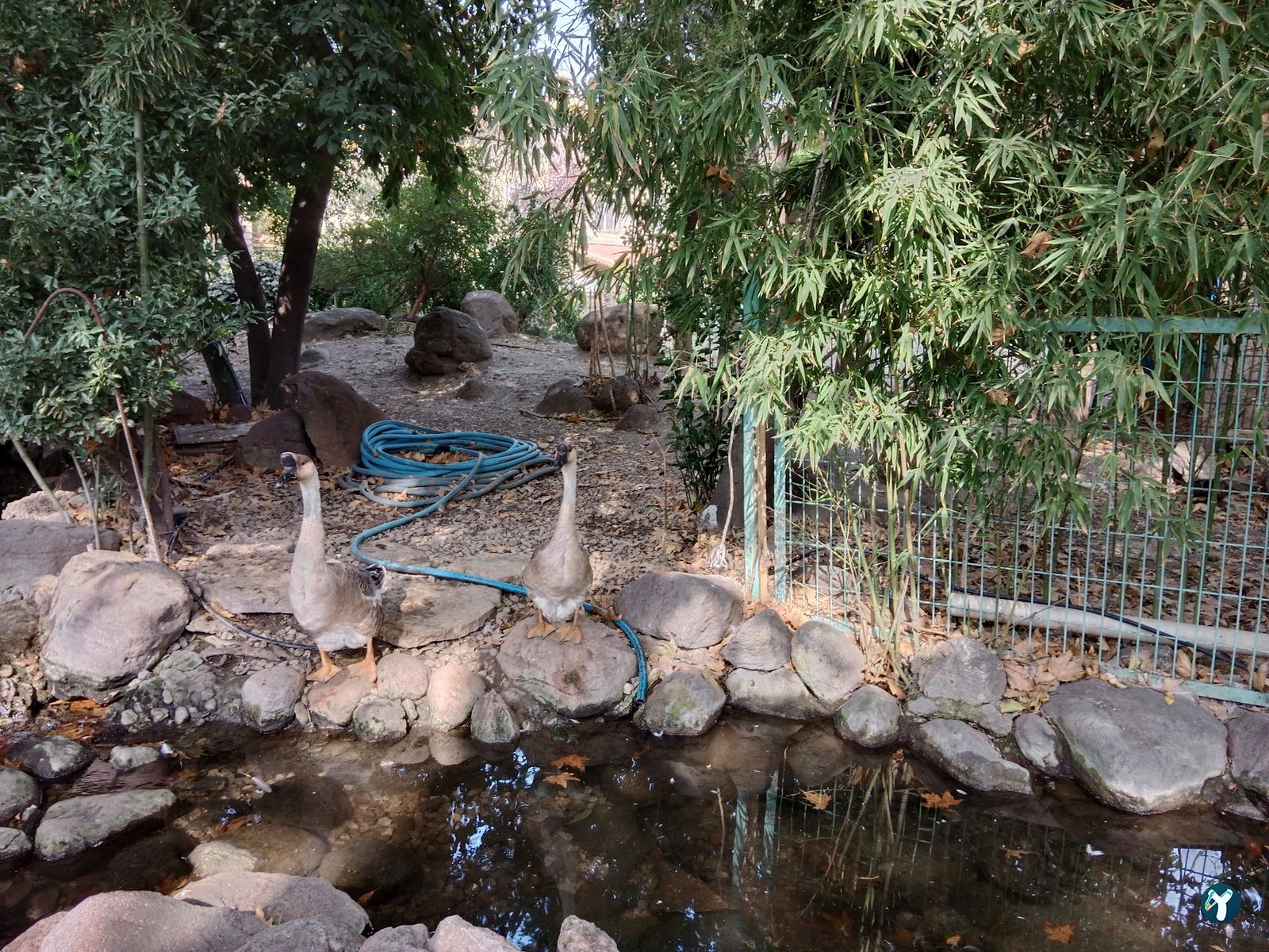 Barış Alanı Cafe Ve Kahvaltı