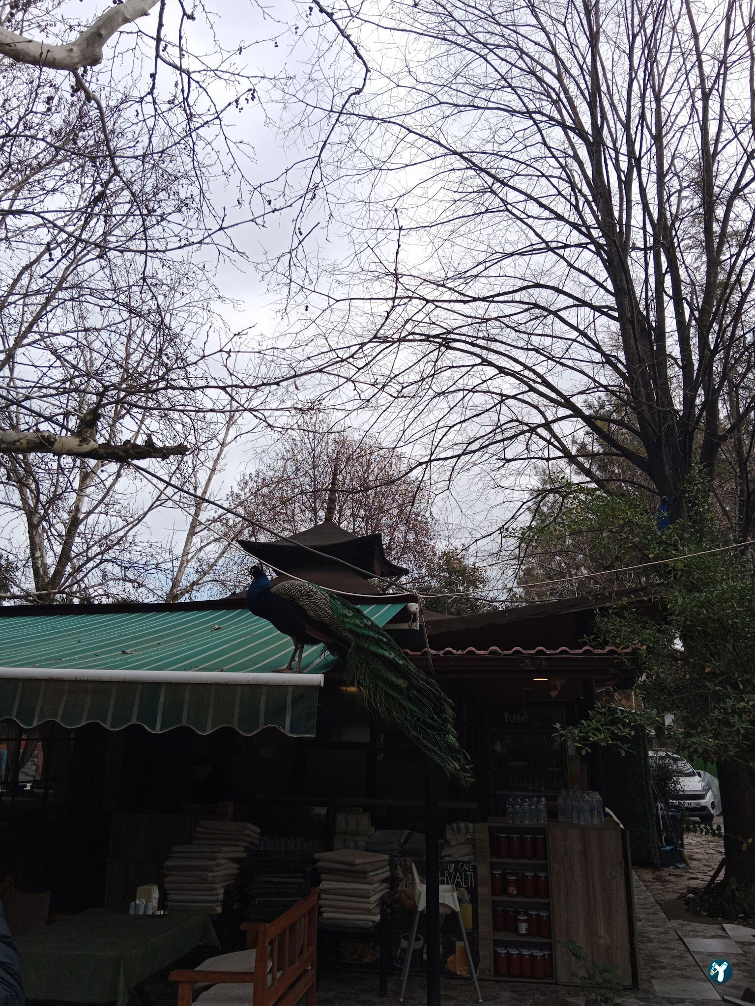 Barış Alanı Cafe Ve Kahvaltı