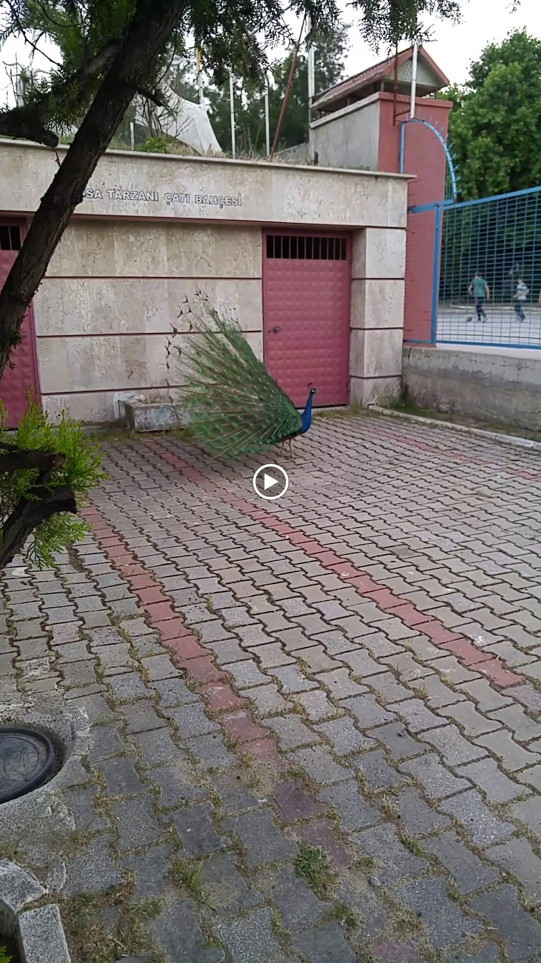 Barış Alanı Cafe Ve Kahvaltı