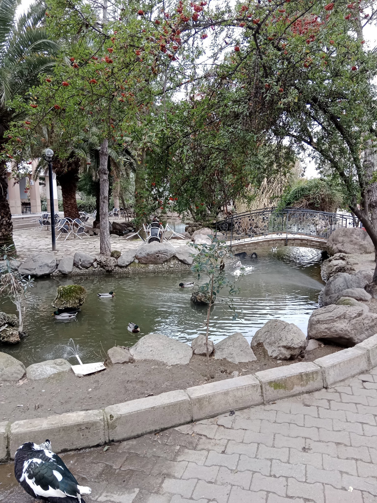Barış Alanı Cafe Ve Kahvaltı