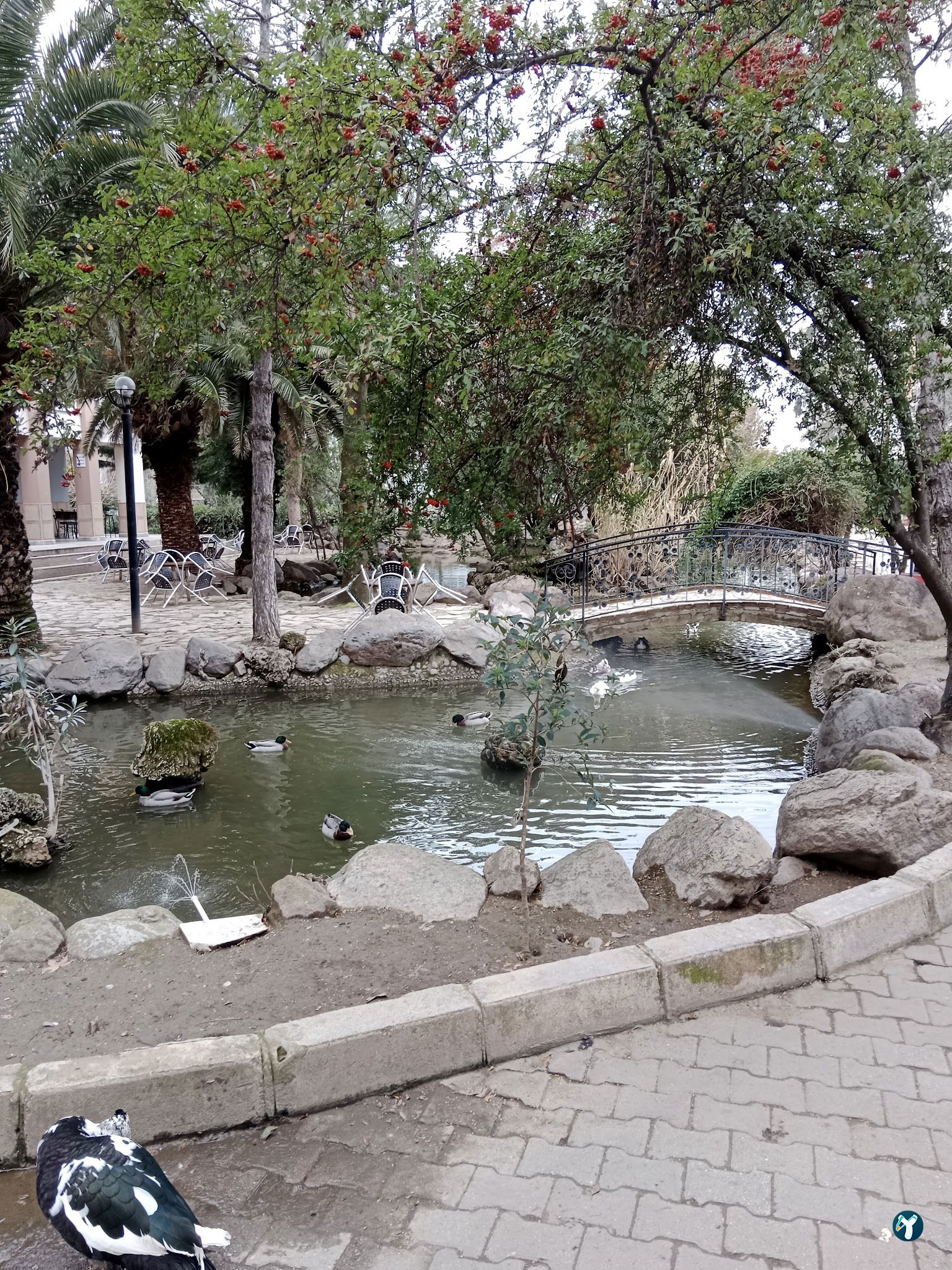 Barış Alanı Cafe Ve Kahvaltı