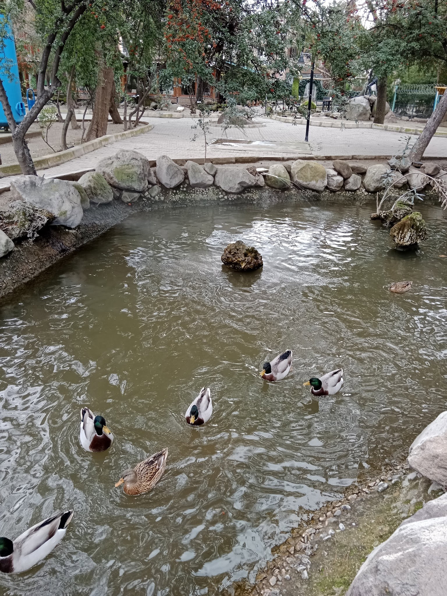Barış Alanı Cafe Ve Kahvaltı