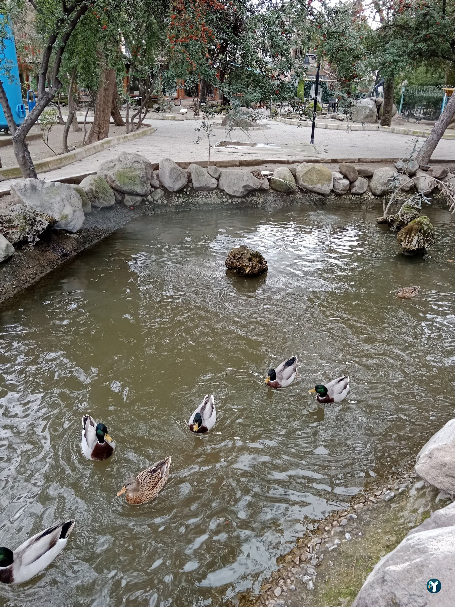 Barış Alanı Cafe Ve Kahvaltı