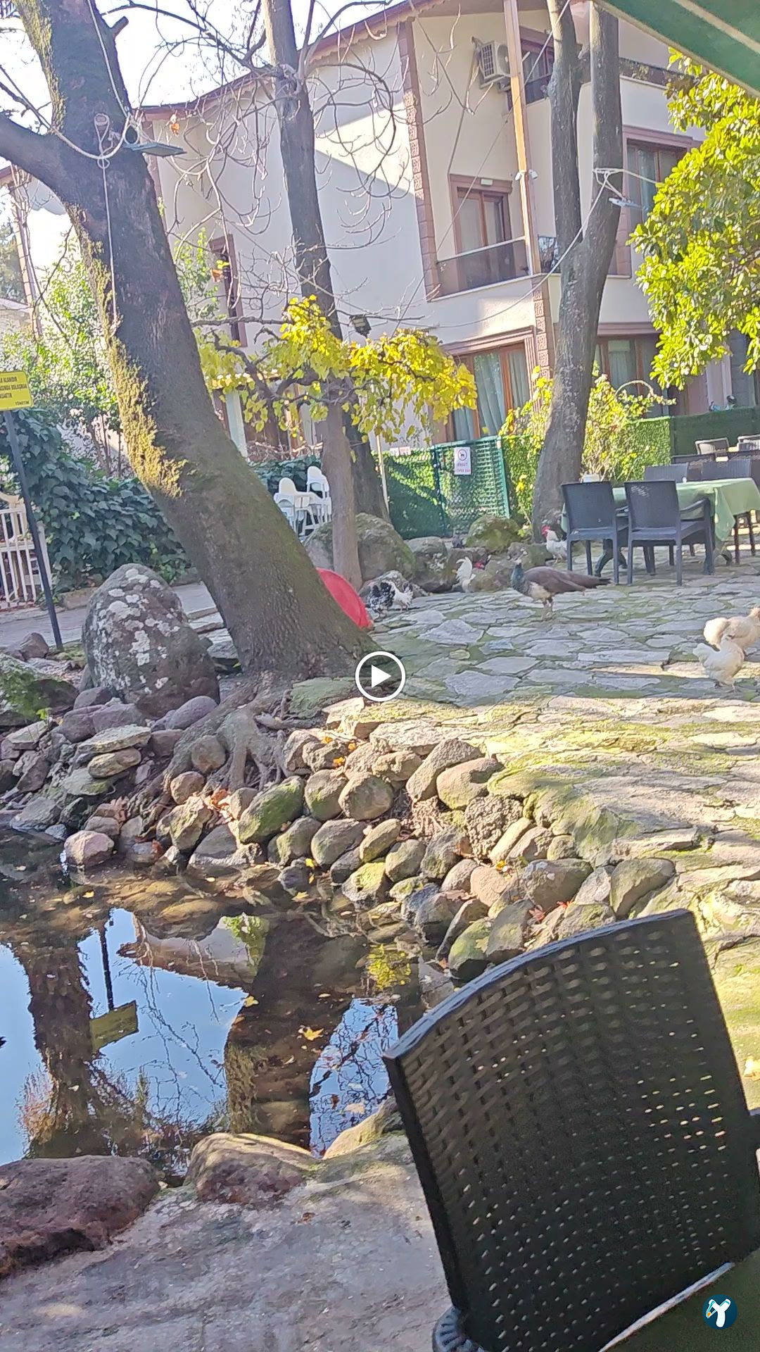 Barış Alanı Cafe Ve Kahvaltı