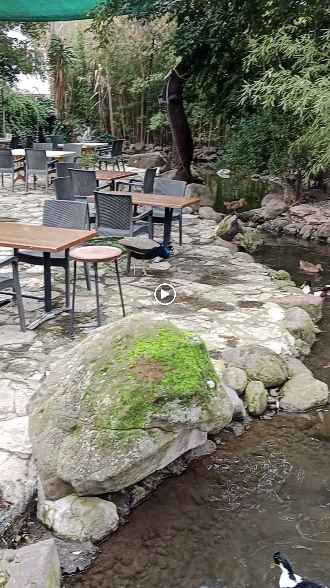 Barış Alanı Cafe Ve Kahvaltı