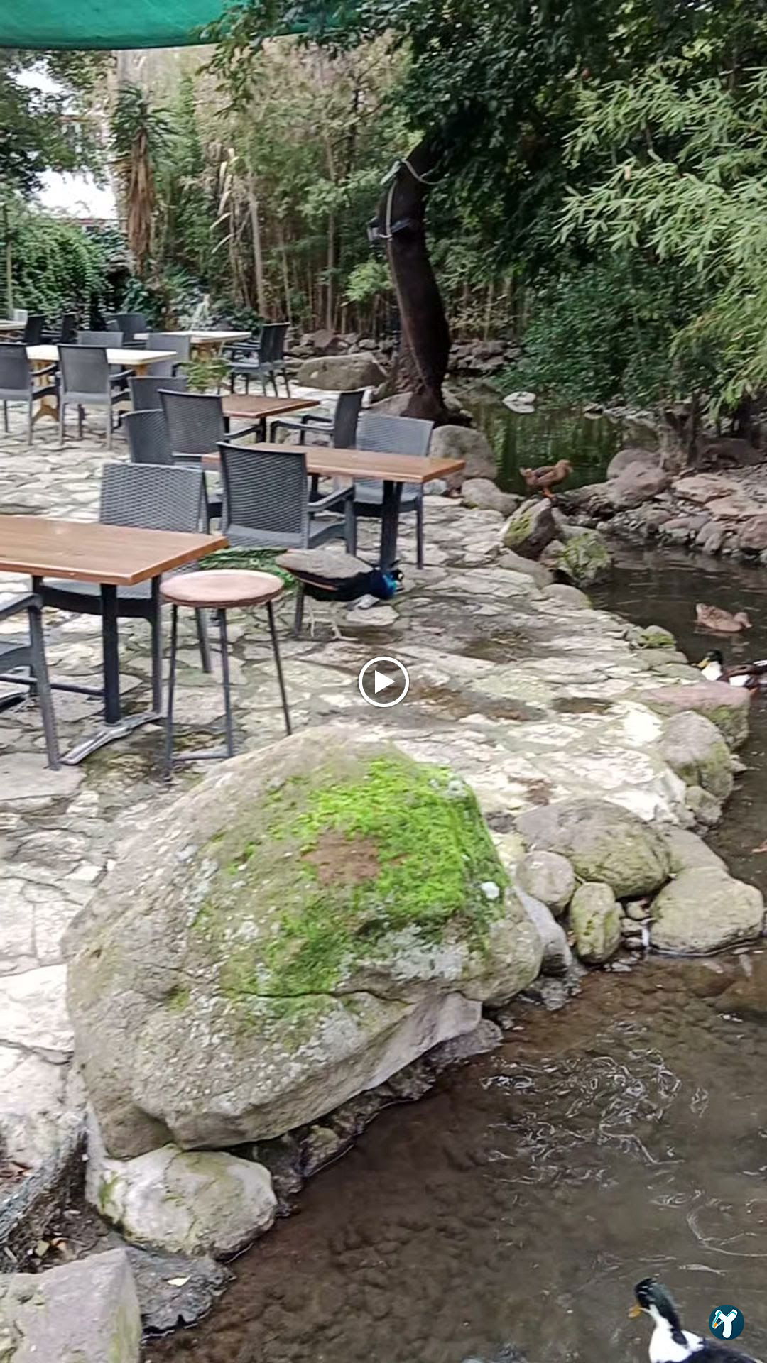 Barış Alanı Cafe Ve Kahvaltı