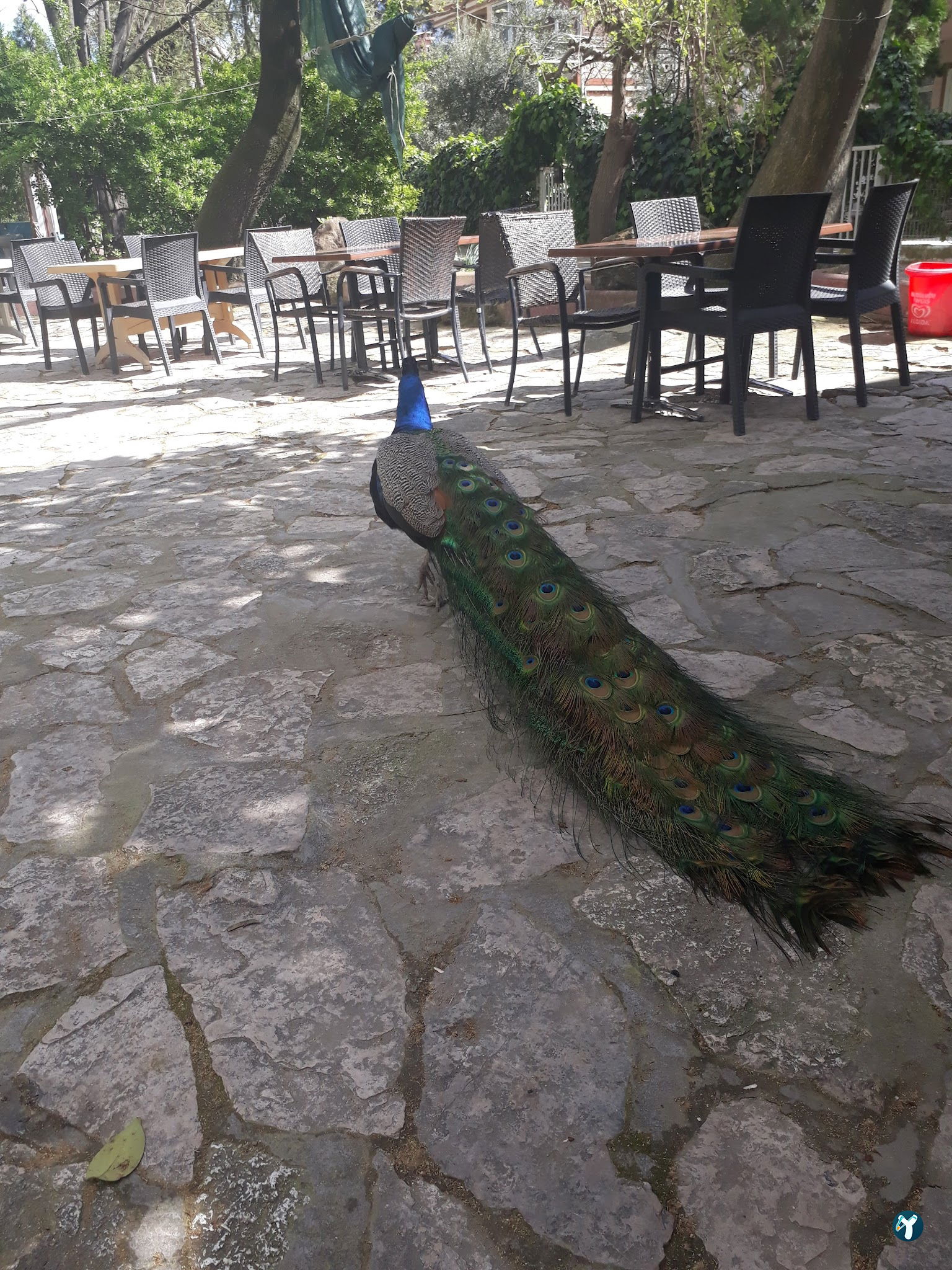 Barış Alanı Cafe Ve Kahvaltı