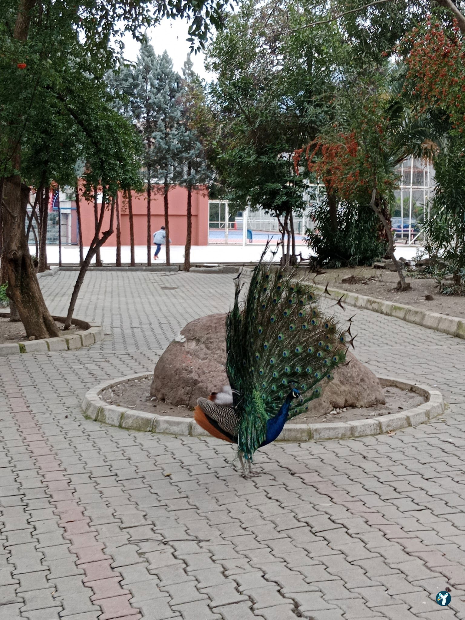 Barış Alanı Cafe Ve Kahvaltı