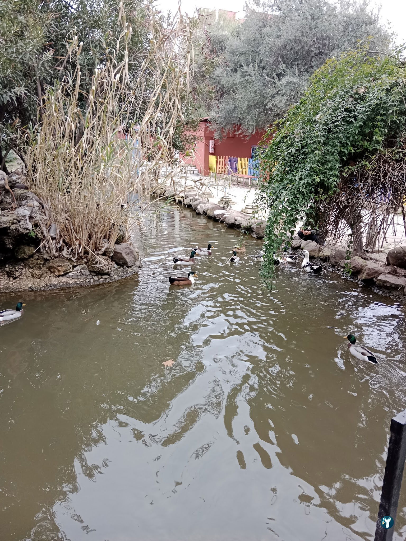 Barış Alanı Cafe Ve Kahvaltı