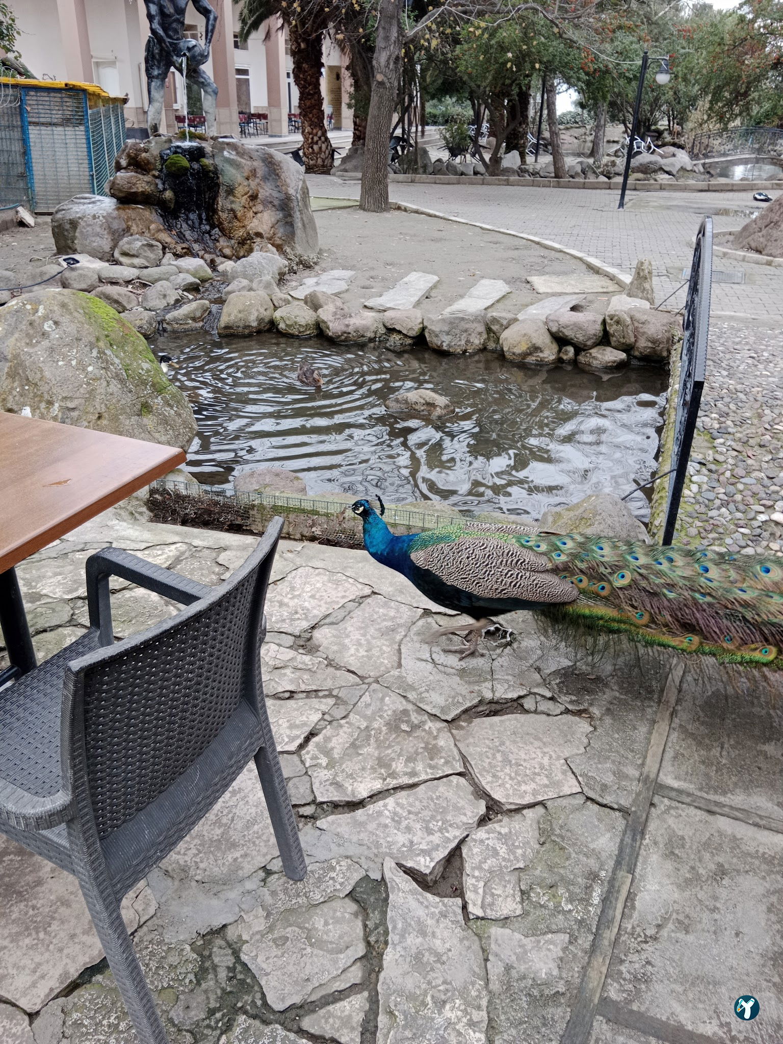 Barış Alanı Cafe Ve Kahvaltı