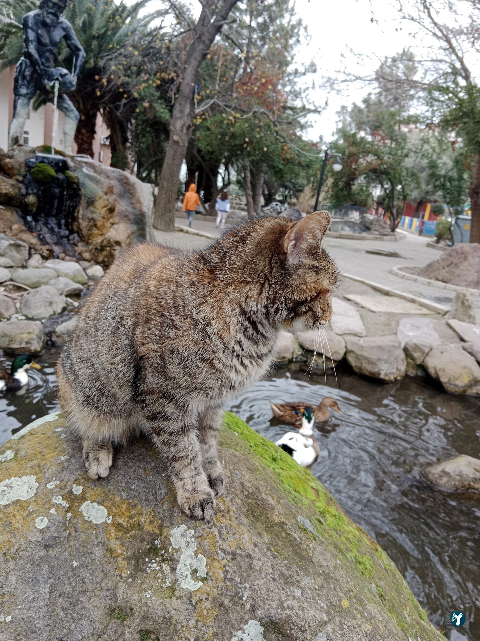 Barış Alanı Cafe Ve Kahvaltı