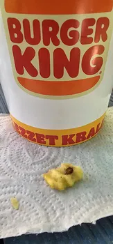 Burger King resimleri