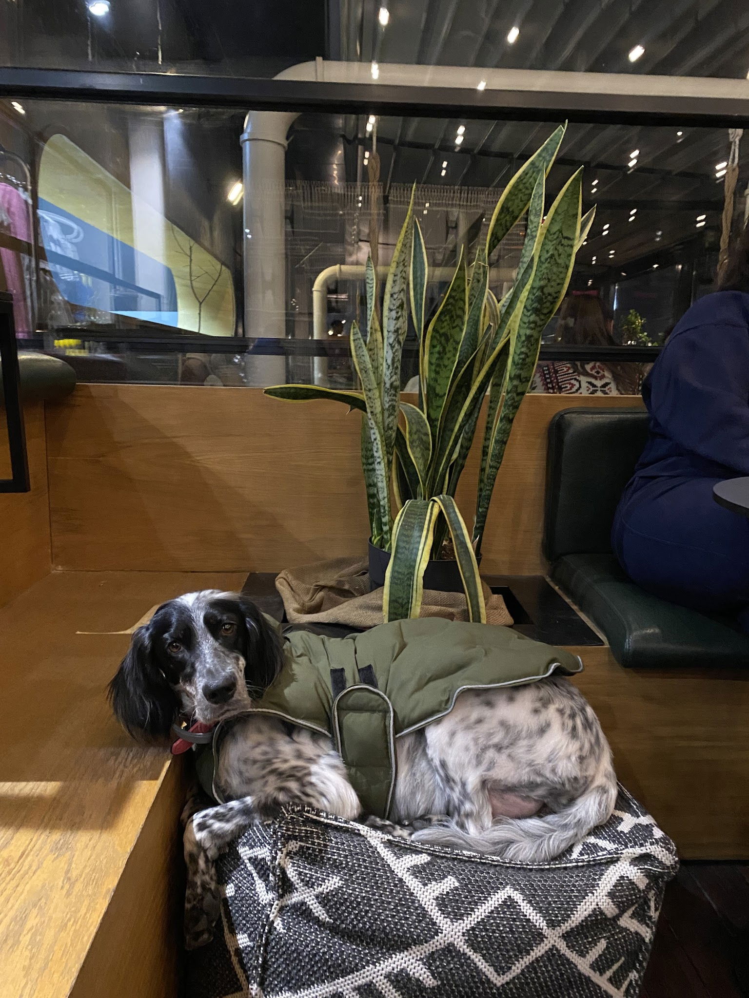 Cargo Coffee Co. Bomonti