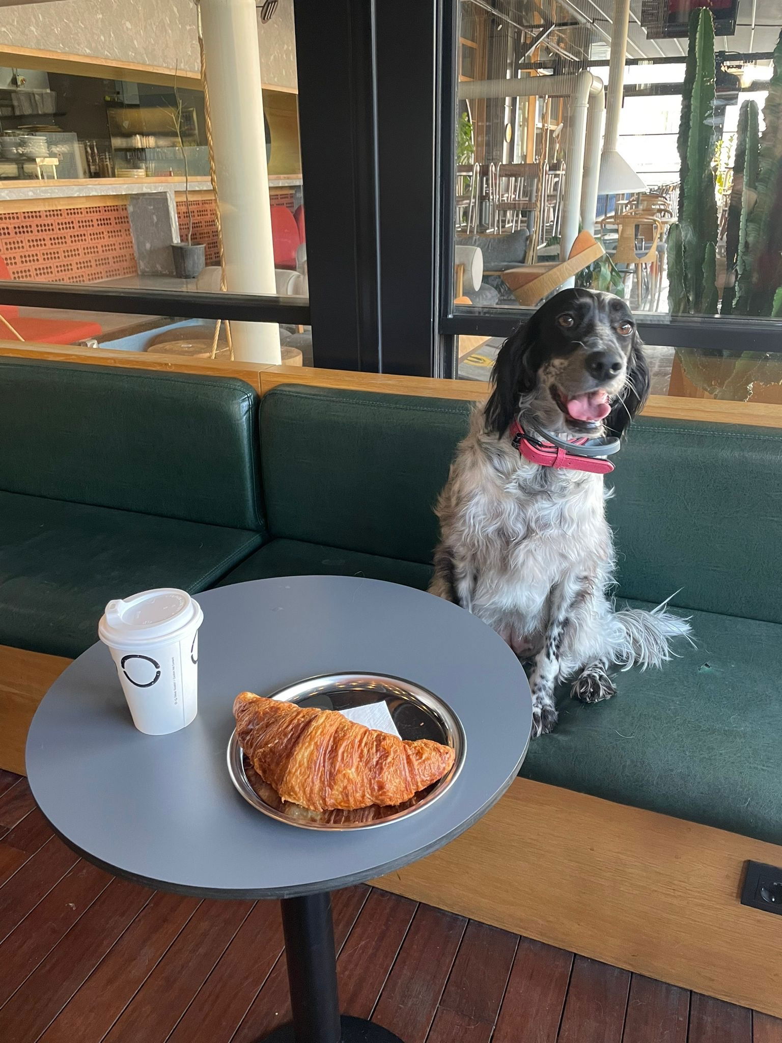 Cargo Coffee Co. Bomonti