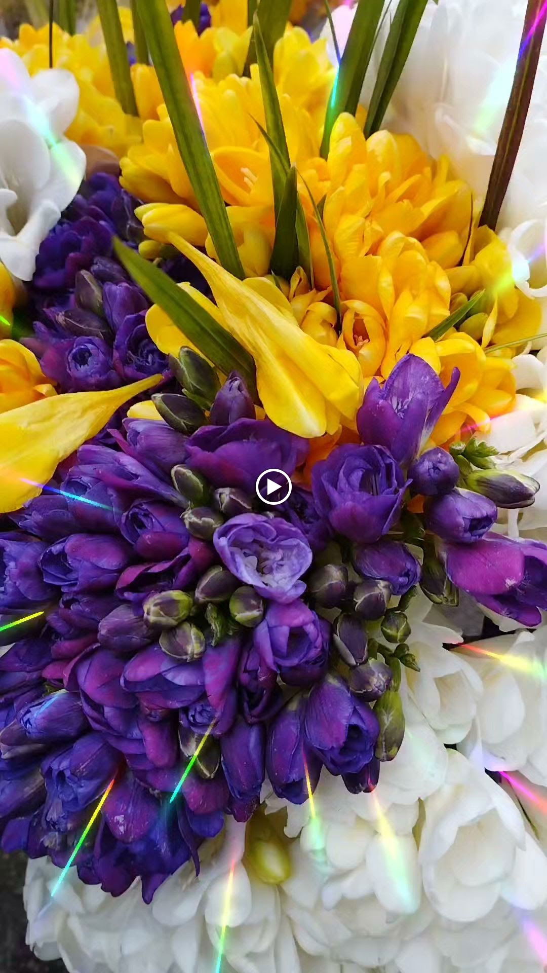 Cargo Coffee Co. Bomonti