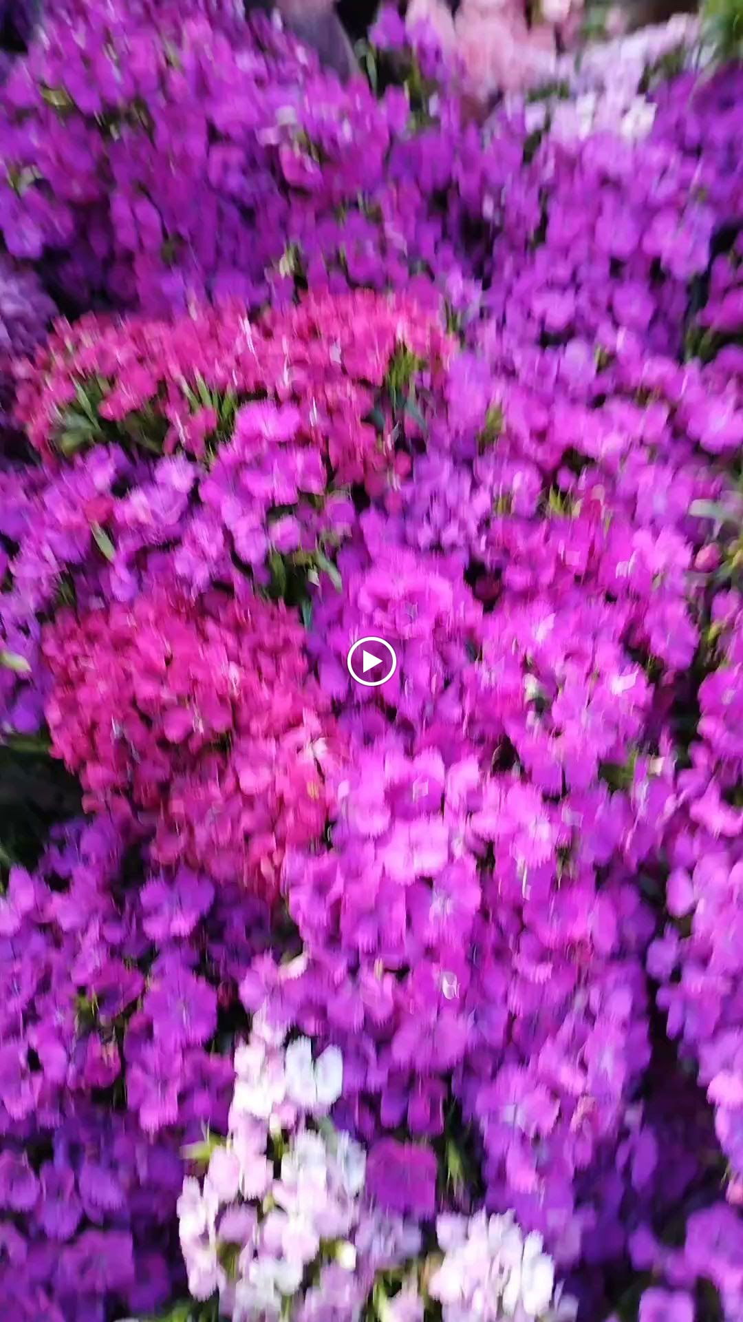 Cargo Coffee Co. Bomonti