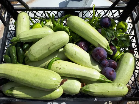 Kuzenler Bahcesi resimleri