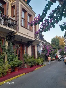 Mimoza Butik Otel Buyukada resimleri Mimoza Butik Otel Buyukada resimleri