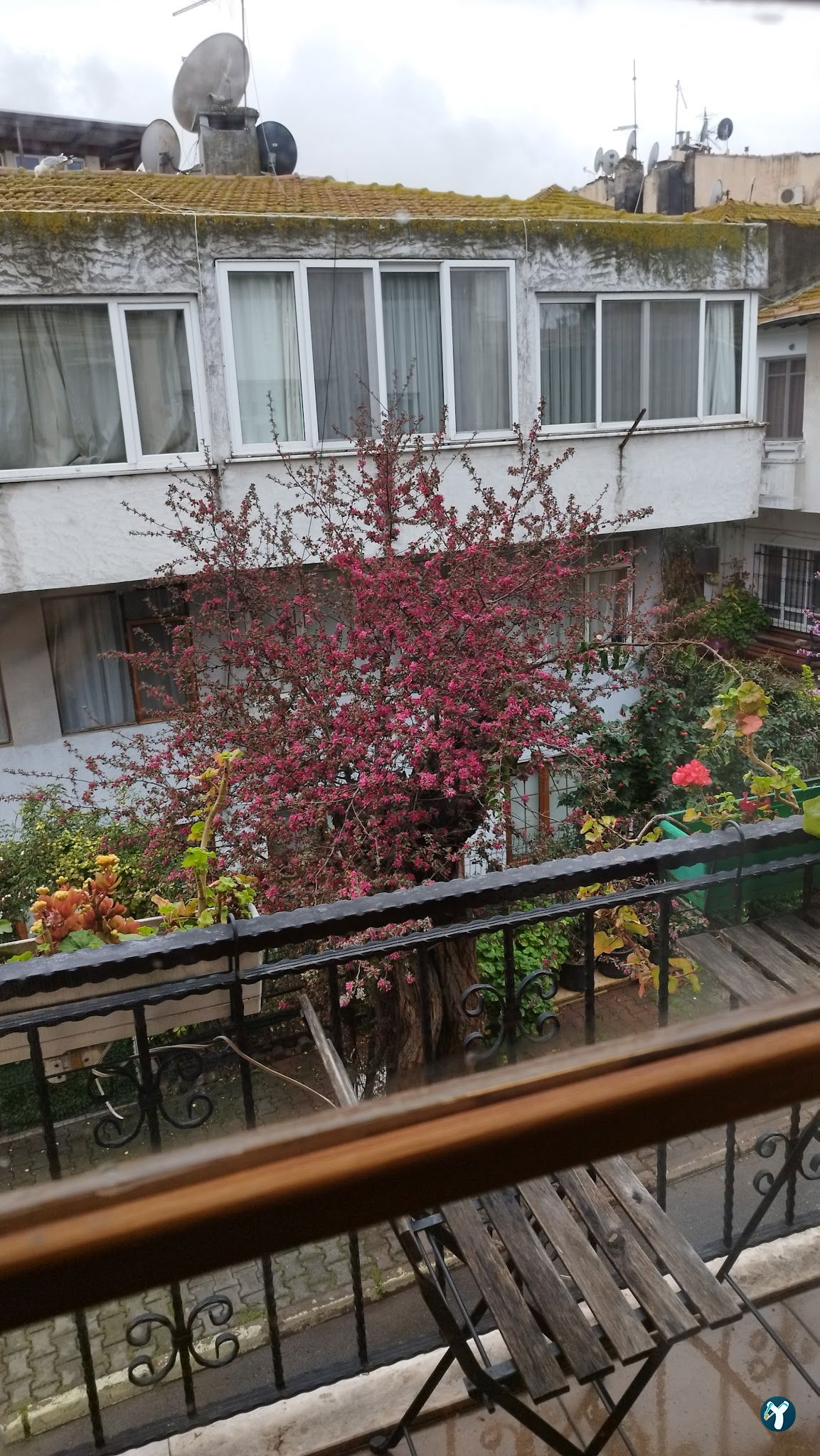 Mimoza Butik Otel Buyukada