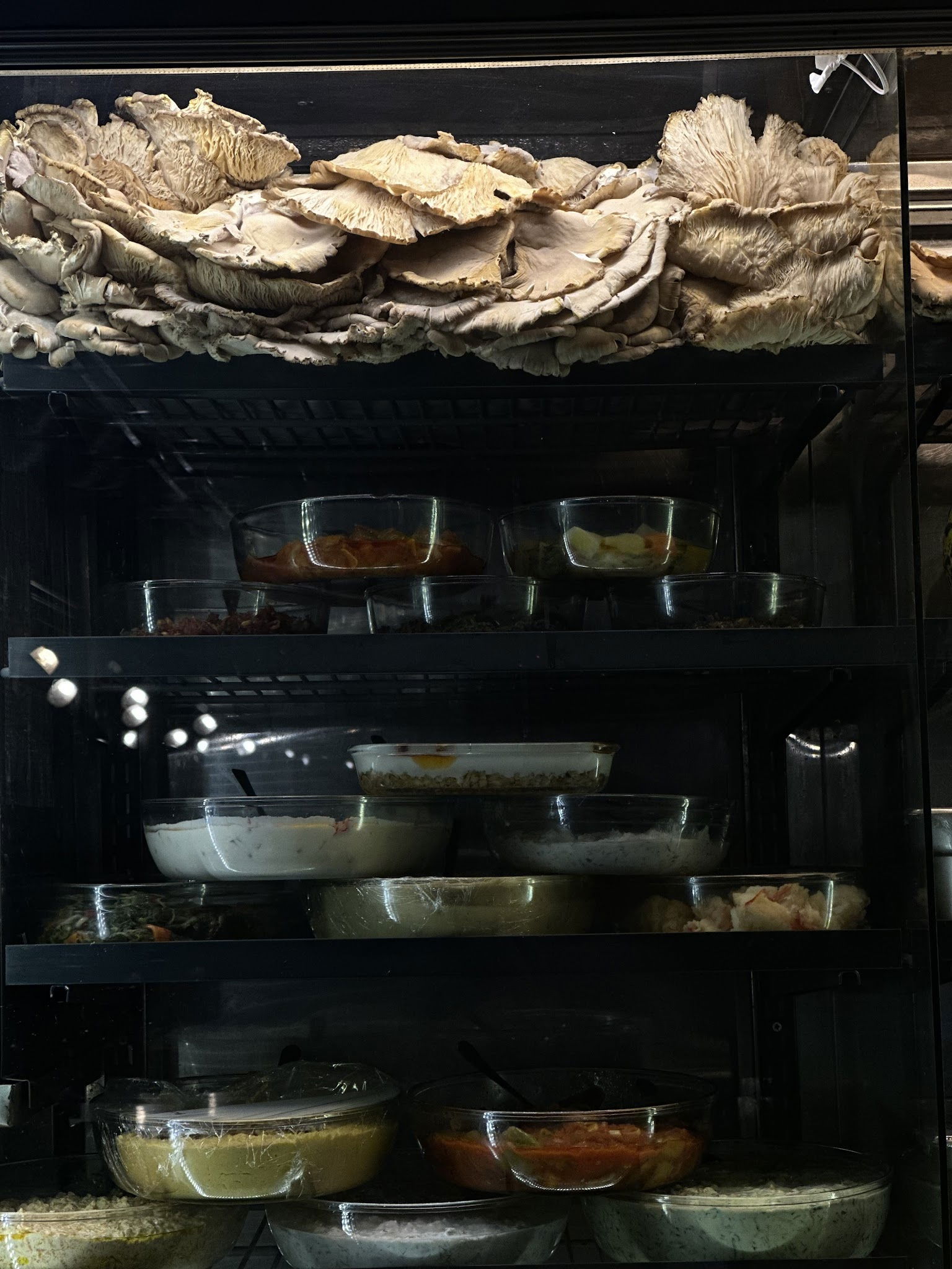 Bakırköy Aile Ocakbaşı