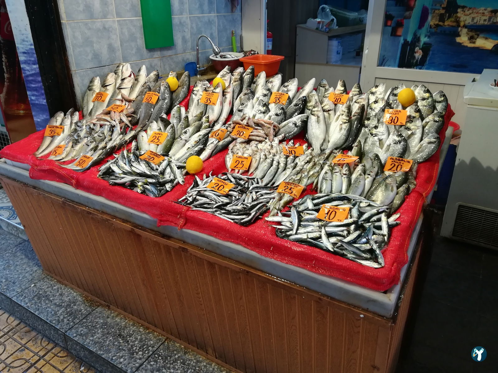 Bahçelievler Balıkevi