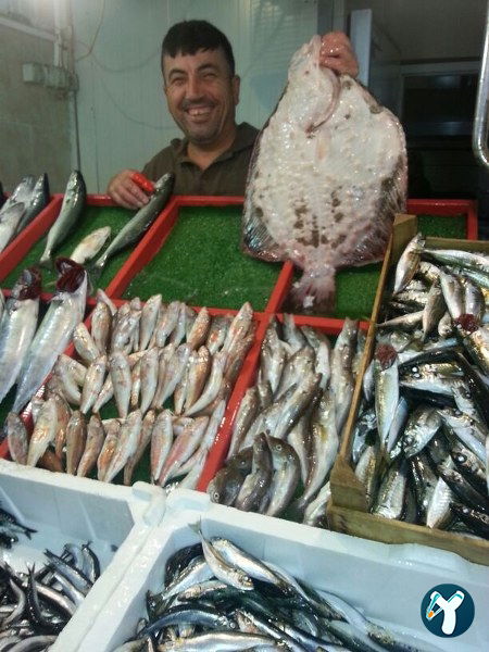 Bahçelievler Balıkevi